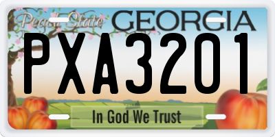 GA license plate PXA3201