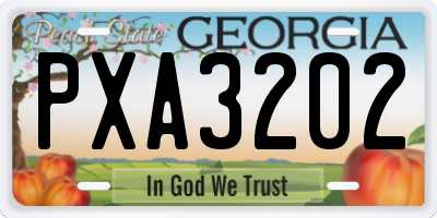GA license plate PXA3202