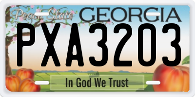 GA license plate PXA3203