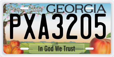 GA license plate PXA3205