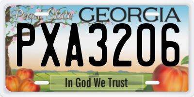 GA license plate PXA3206