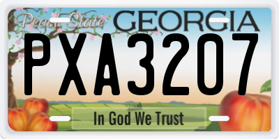 GA license plate PXA3207
