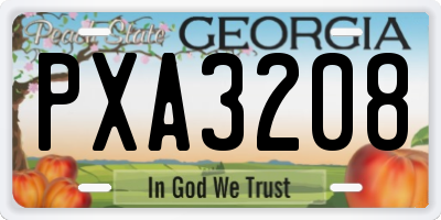 GA license plate PXA3208