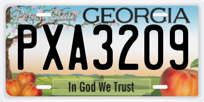 GA license plate PXA3209