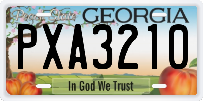 GA license plate PXA3210