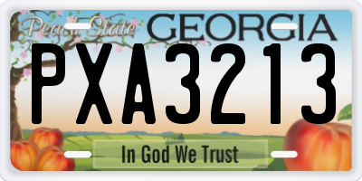 GA license plate PXA3213