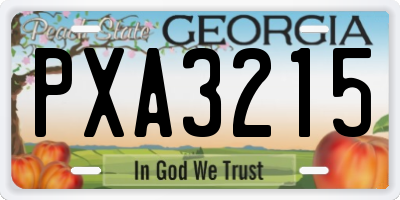 GA license plate PXA3215