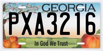 GA license plate PXA3216