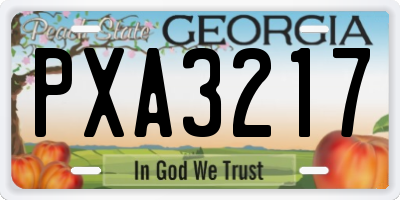 GA license plate PXA3217