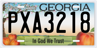 GA license plate PXA3218