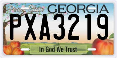 GA license plate PXA3219