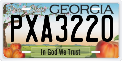 GA license plate PXA3220