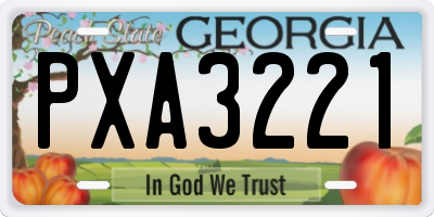 GA license plate PXA3221