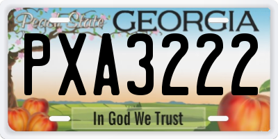 GA license plate PXA3222