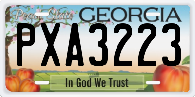GA license plate PXA3223