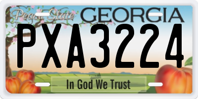 GA license plate PXA3224