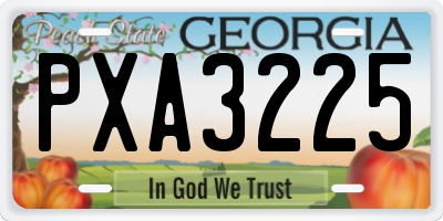 GA license plate PXA3225