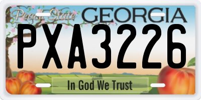 GA license plate PXA3226