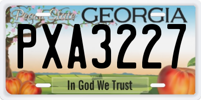 GA license plate PXA3227