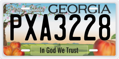 GA license plate PXA3228