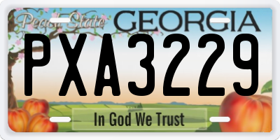 GA license plate PXA3229