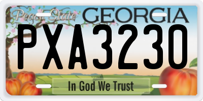 GA license plate PXA3230