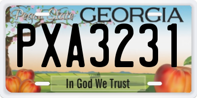 GA license plate PXA3231