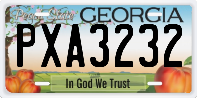 GA license plate PXA3232