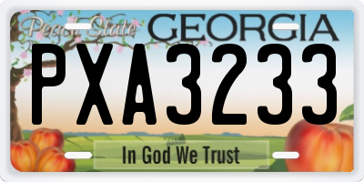 GA license plate PXA3233