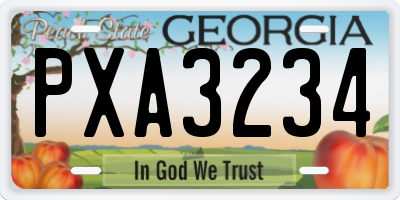 GA license plate PXA3234