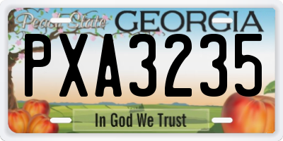 GA license plate PXA3235