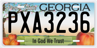 GA license plate PXA3236
