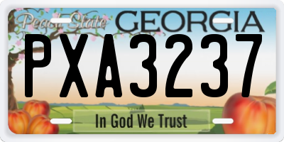 GA license plate PXA3237