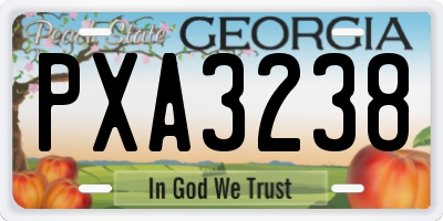 GA license plate PXA3238