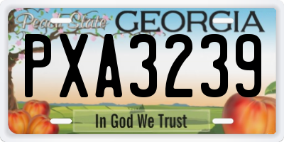 GA license plate PXA3239