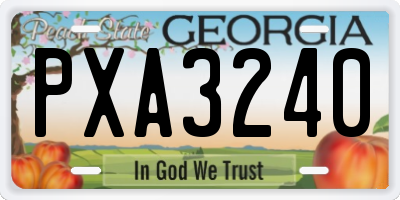 GA license plate PXA3240