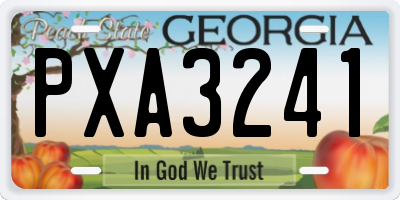 GA license plate PXA3241