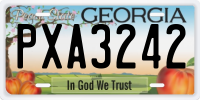 GA license plate PXA3242
