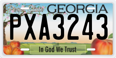 GA license plate PXA3243