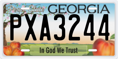 GA license plate PXA3244