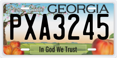GA license plate PXA3245