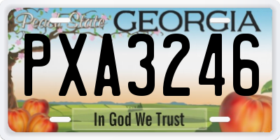 GA license plate PXA3246