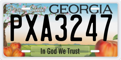GA license plate PXA3247