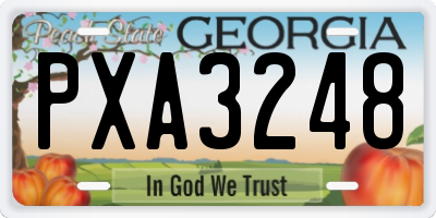 GA license plate PXA3248