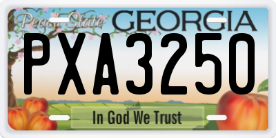 GA license plate PXA3250