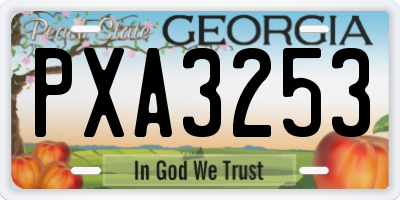 GA license plate PXA3253