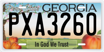 GA license plate PXA3260