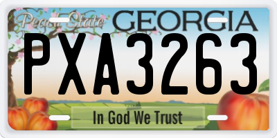 GA license plate PXA3263