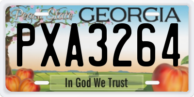 GA license plate PXA3264