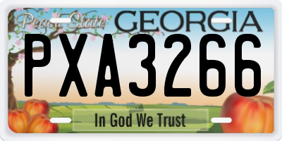 GA license plate PXA3266